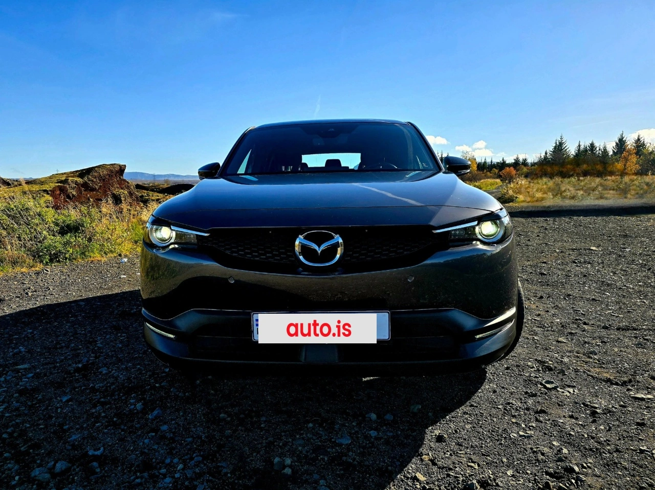 Mazda Mazda MX-30