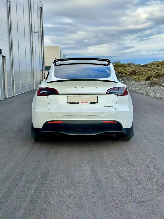 Tesla Model Y - Performance